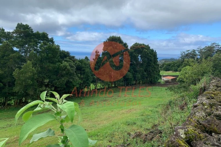 Terreno para Venda em Terra Chã Foto 10