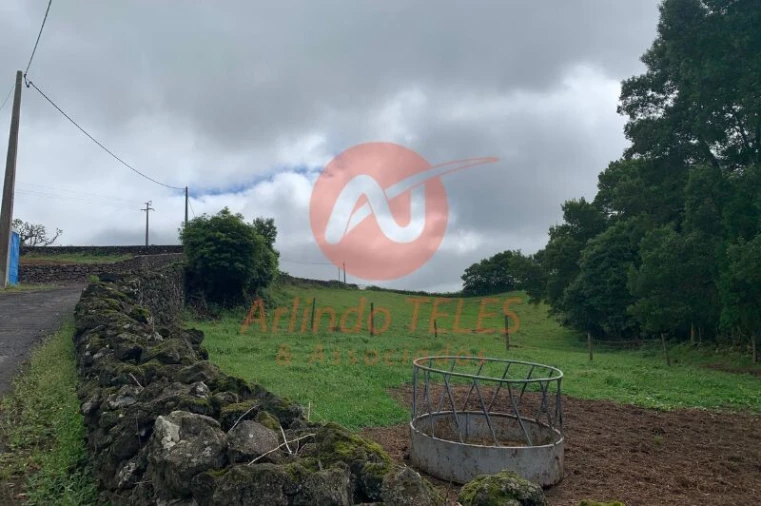 Terreno para Venda em Terra Chã Foto 24