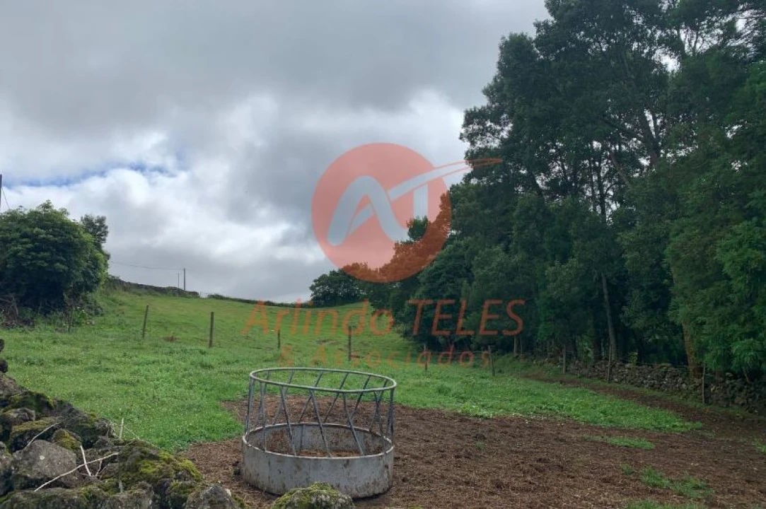 Terreno para Venda em Terra Chã Foto 23