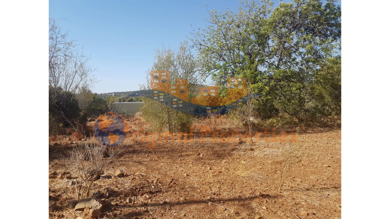 Terreno para Venda em Salir Foto 2