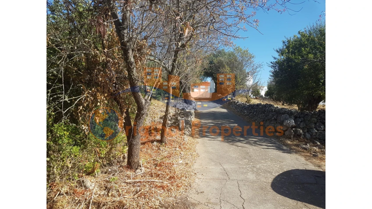 Terreno para Venda em Salir Foto 3