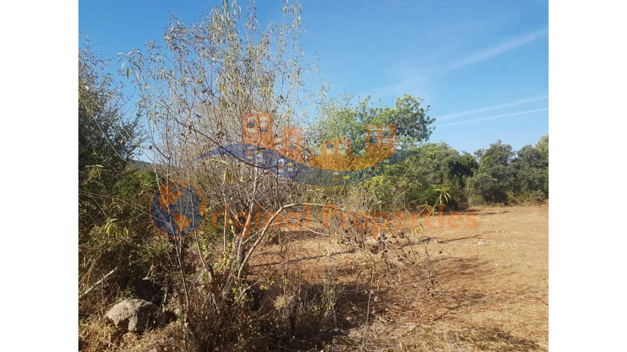Terreno para Venda em Salir Foto 4