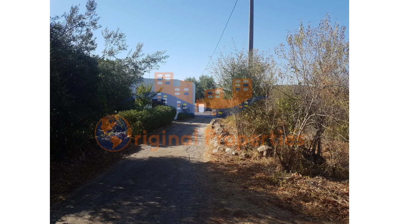 Terreno para Venda em Salir Foto 5