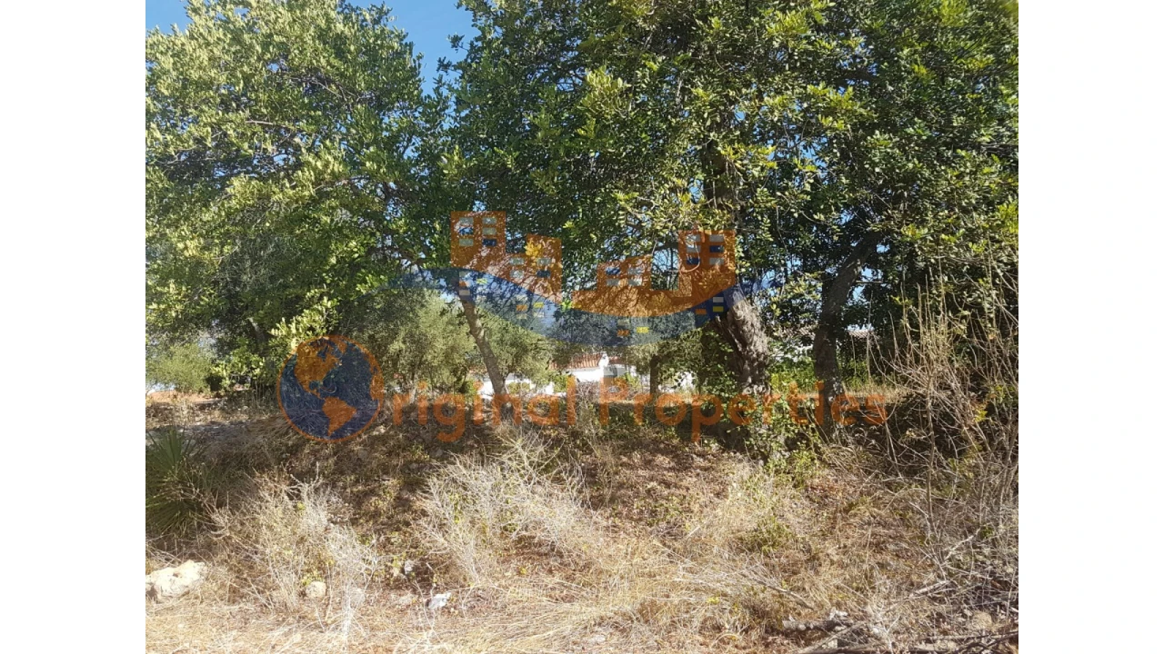 Terreno para Venda em Salir Foto 6