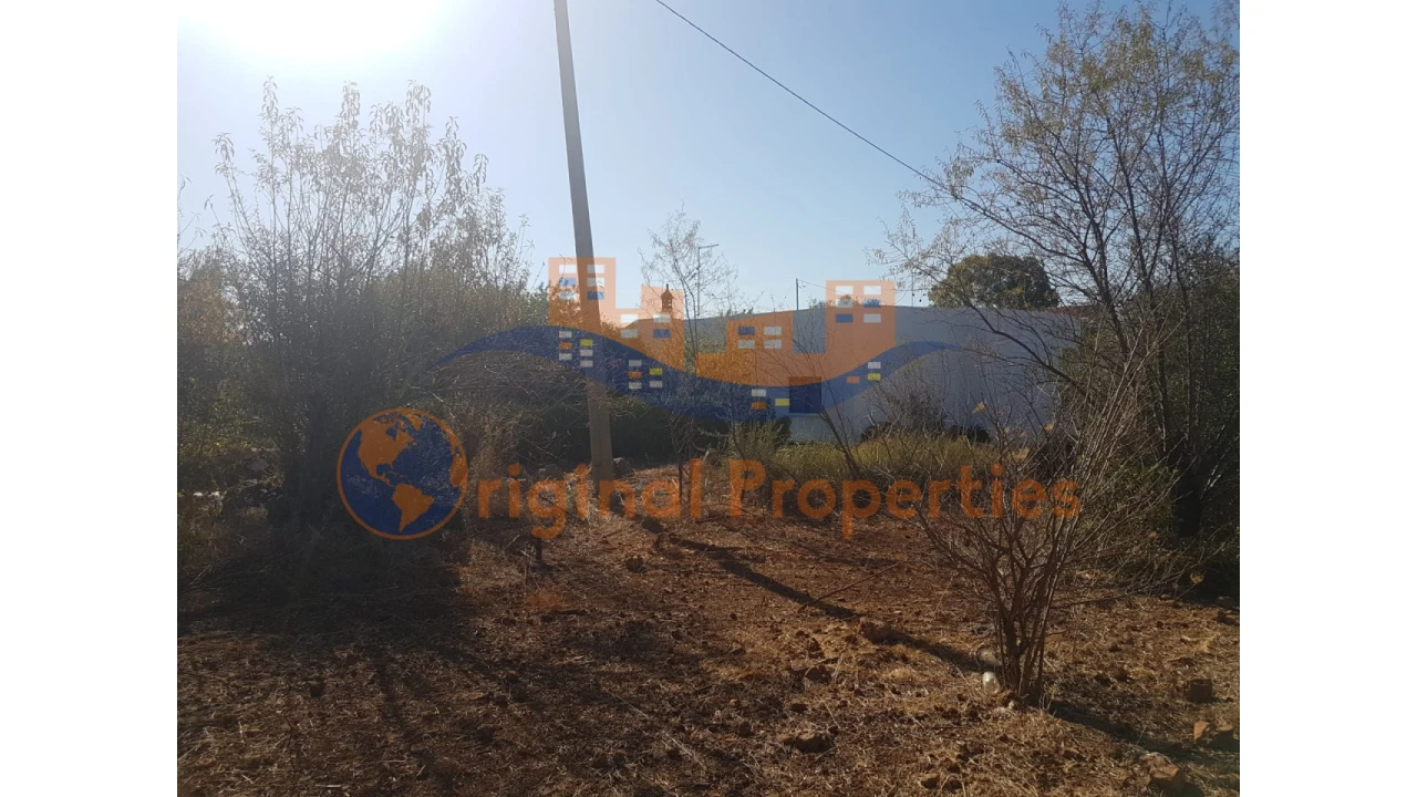 Terreno para Venda em Salir Foto 7