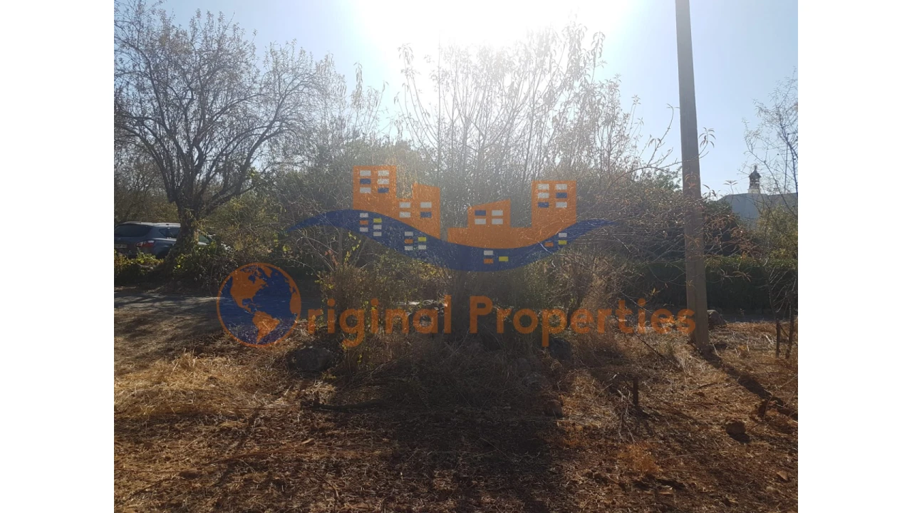 Terreno para Venda em Salir Foto 8