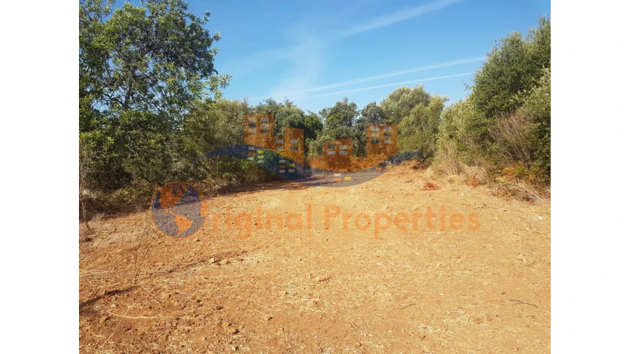 Terreno para Venda em Salir