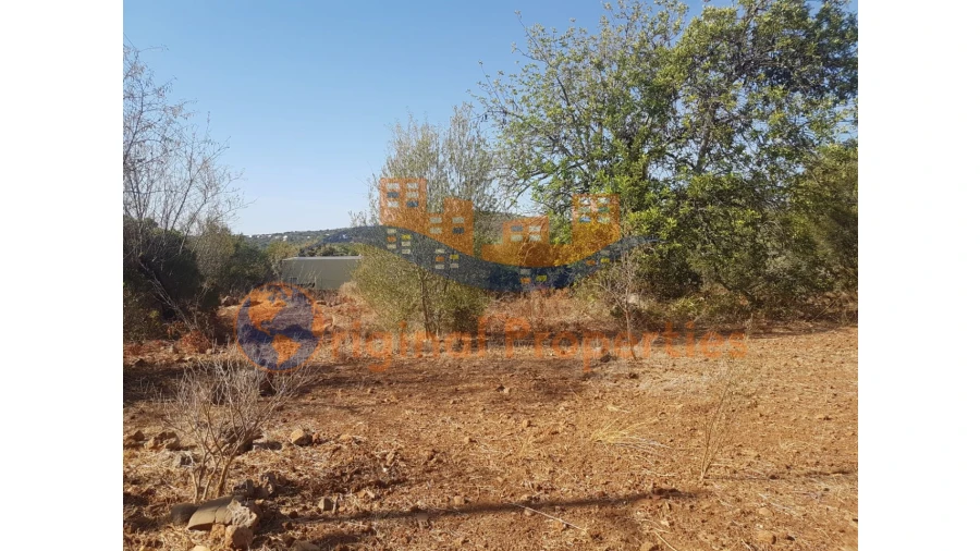 Terreno para Venda em Salir Foto 2