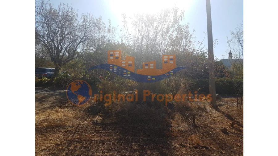 Terreno para Venda em Salir Foto 8