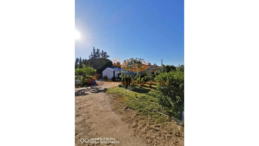 Quinta T8 para Venda em Melides Foto 3