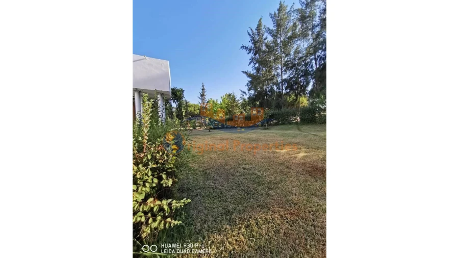 Quinta T8 para Venda em Melides Foto 5