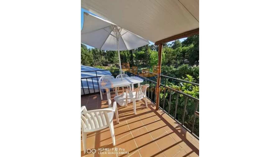 Quinta T8 para Venda em Melides Foto 13