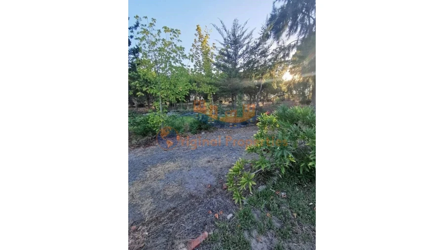 Quinta T8 para Venda em Melides Foto 14