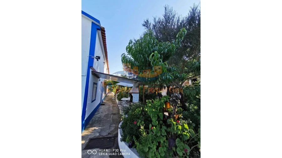 Quinta T8 para Venda em Melides Foto 17