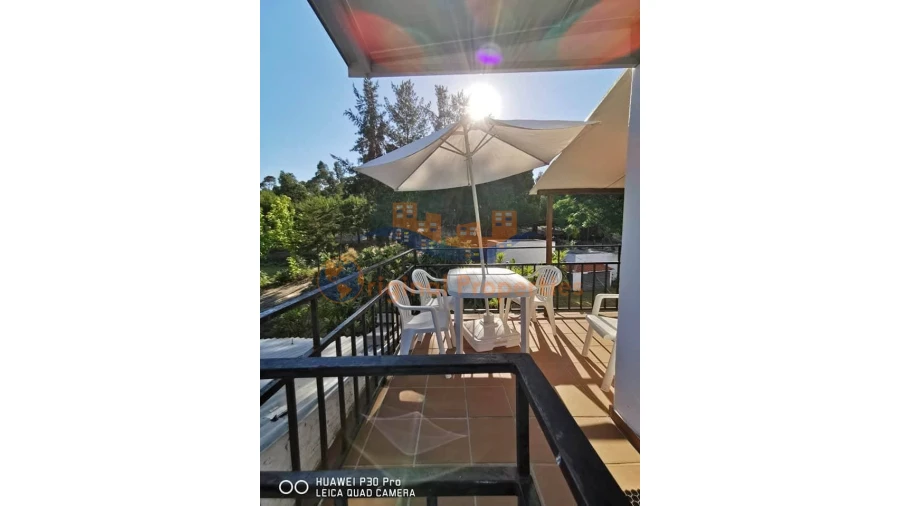 Quinta T8 para Venda em Melides Foto 25