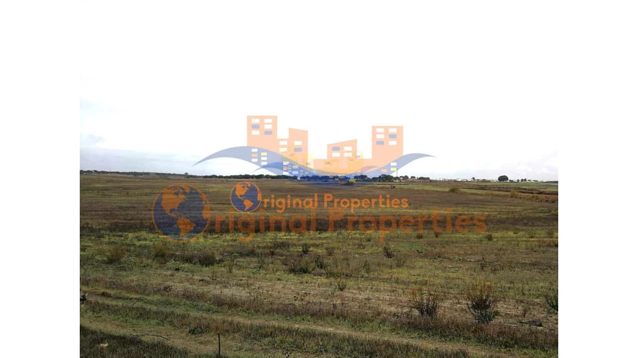 Terreno para Venda em Figueira dos Cavaleiros Foto 1