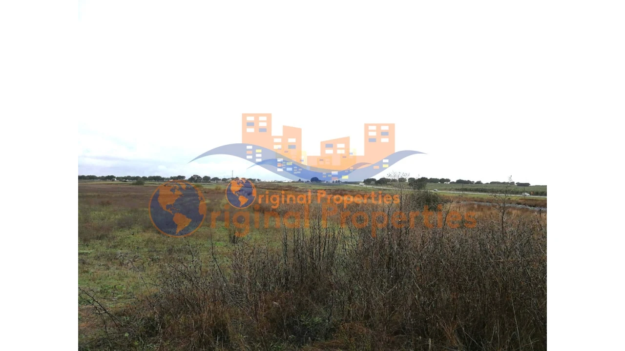 Terreno para Venda em Figueira dos Cavaleiros Foto 2