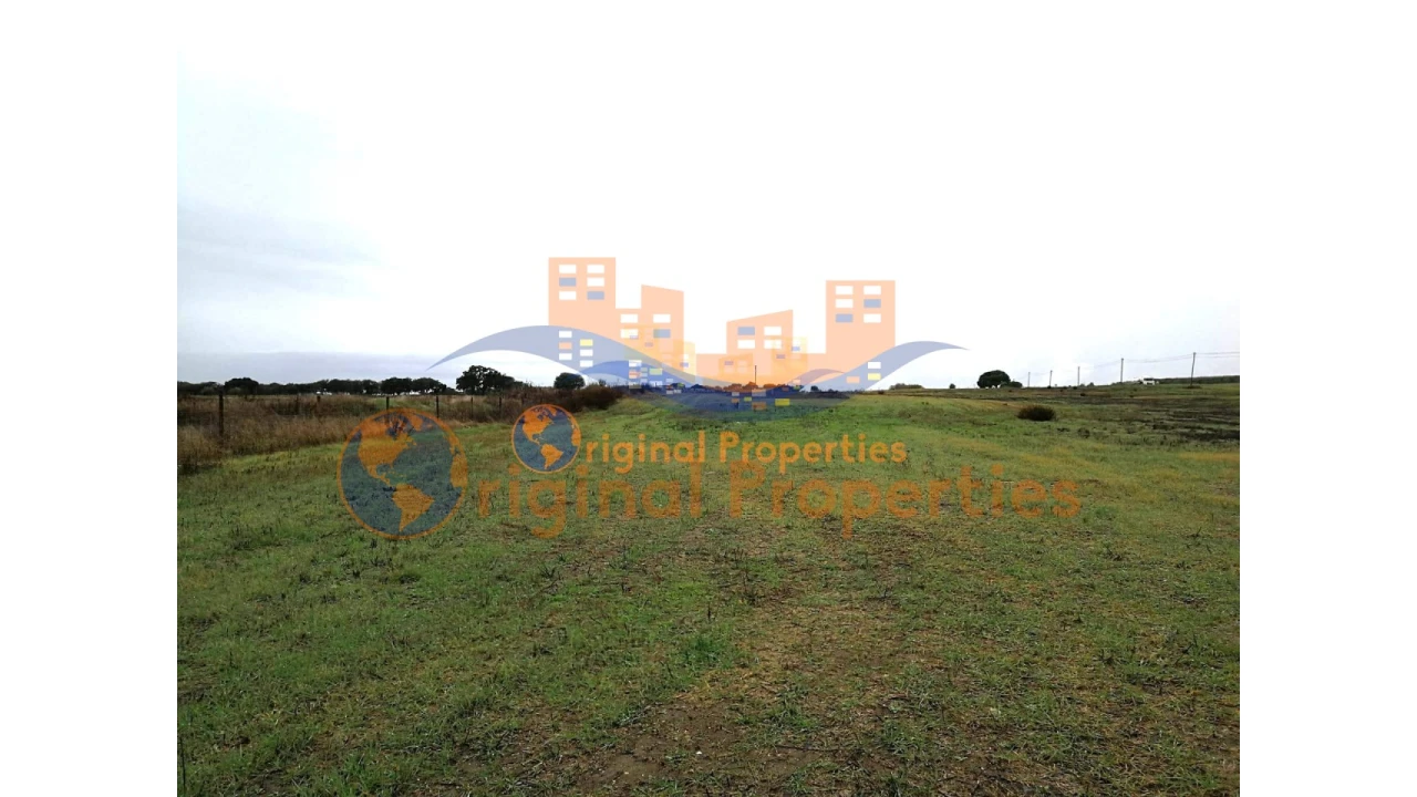 Terreno para Venda em Figueira dos Cavaleiros Foto 4