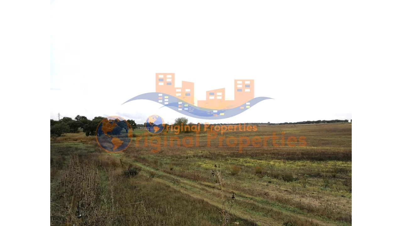 Terreno para Venda em Figueira dos Cavaleiros Foto 6