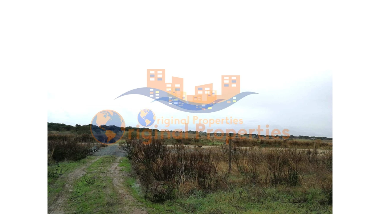 Terreno para Venda em Figueira dos Cavaleiros Foto 7