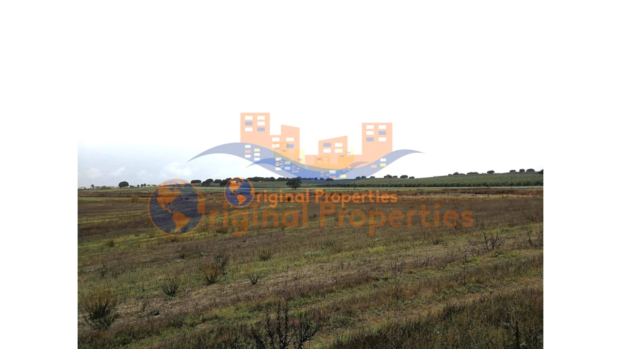 Terreno para Venda em Figueira dos Cavaleiros Foto 8