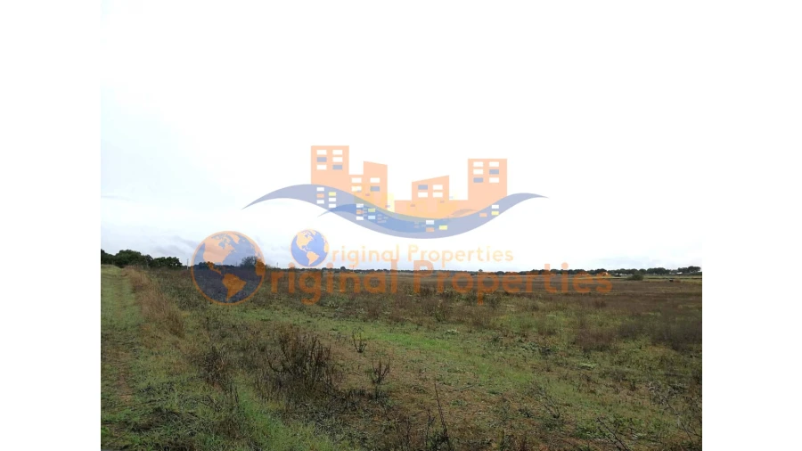 Terreno para Venda em Figueira dos Cavaleiros Foto 3