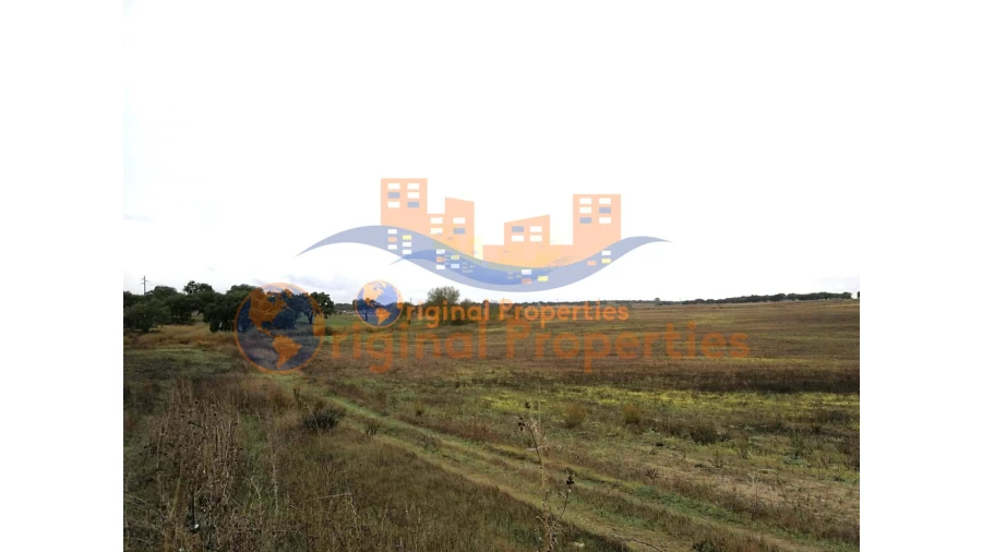 Terreno para Venda em Figueira dos Cavaleiros Foto 6