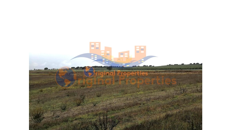 Terreno para Venda em Figueira dos Cavaleiros Foto 8