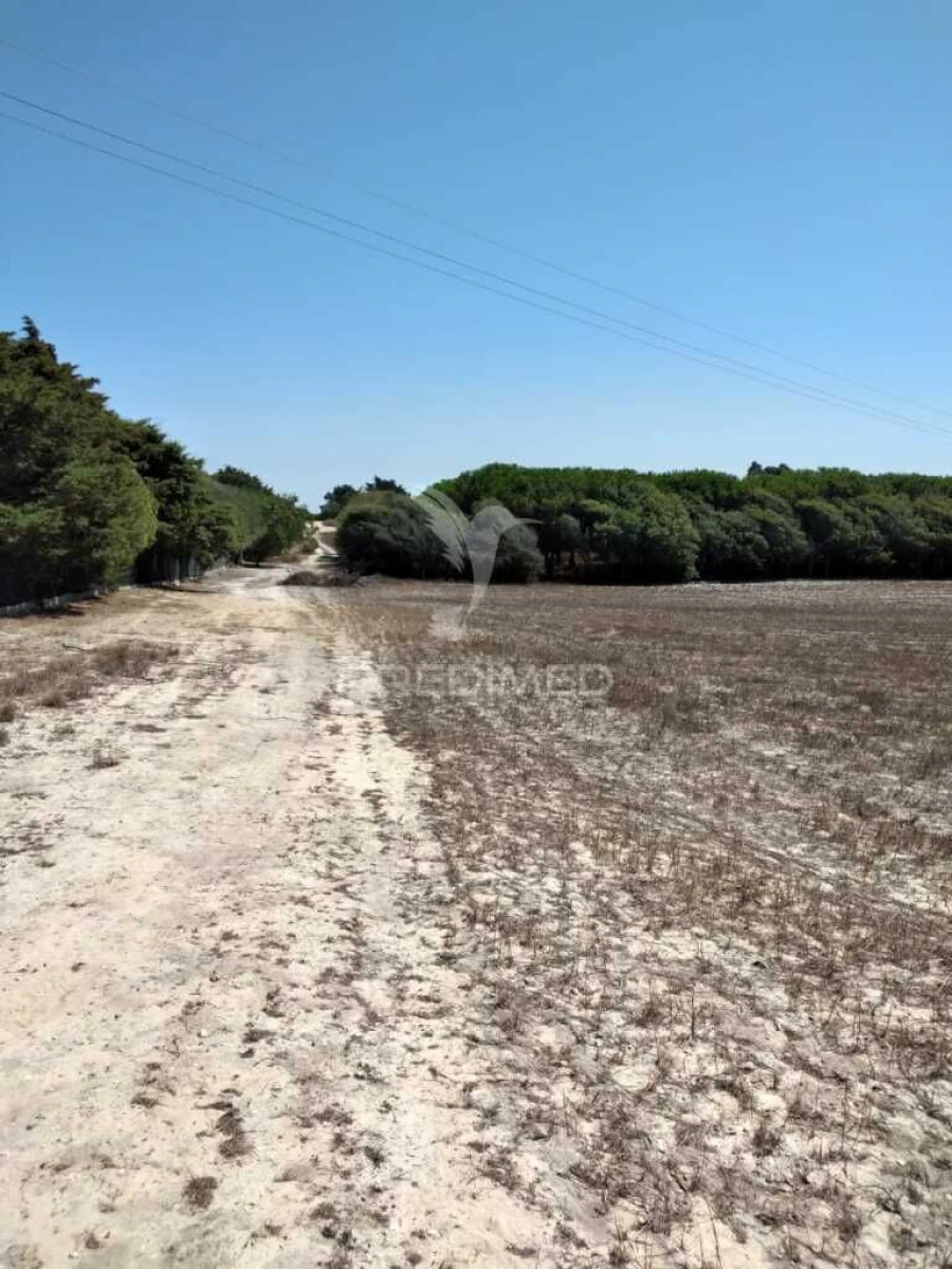 Terreno para Venda em Porto Covo Foto 9