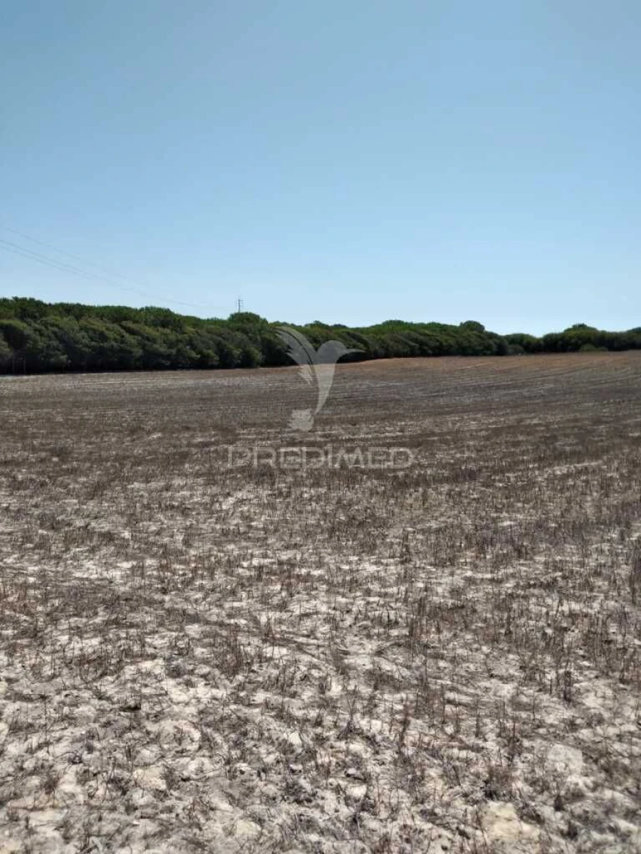Terreno para Venda em Porto Covo Foto 2