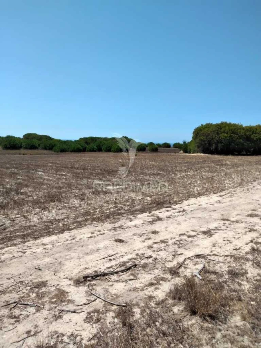 Terreno para Venda em Porto Covo Foto 7