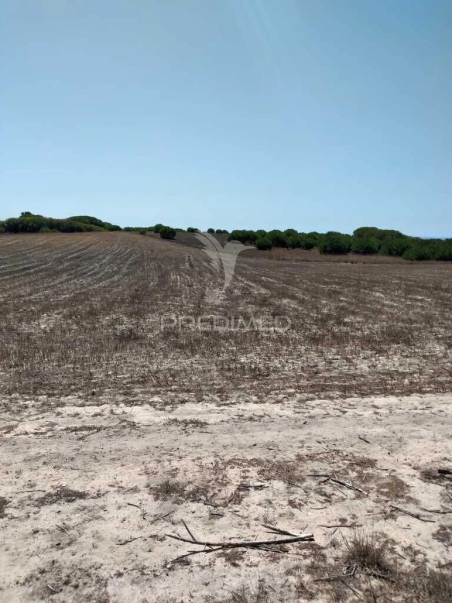 Terreno para Venda em Porto Covo Foto 3