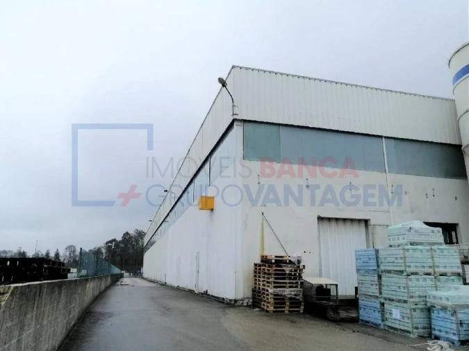 Armazém para Venda em Oiã Foto 4