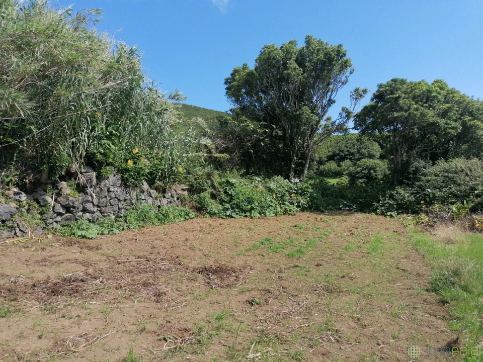 Terreno para Venda em Pedro Miguel Foto 5