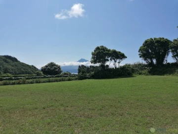 Terreno para Venda em Pedro Miguel