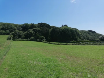 Terreno para Venda em Pedro Miguel