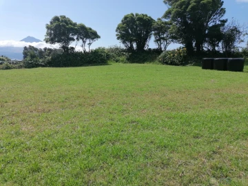 Terreno para Venda em Pedro Miguel