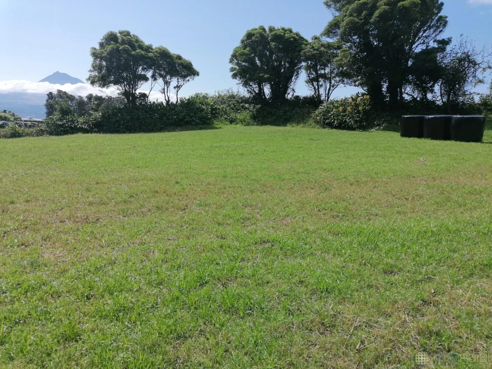 Terreno para Venda em Pedro Miguel Foto 3