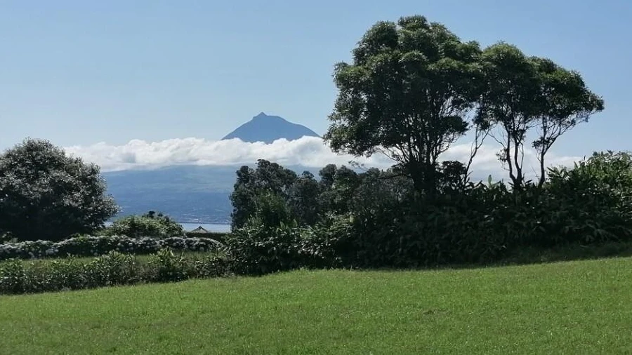 Terreno para Venda em Pedro Miguel
