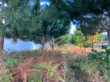 Terreno para Venda em Souto da Carpalhosa e Ortigosa