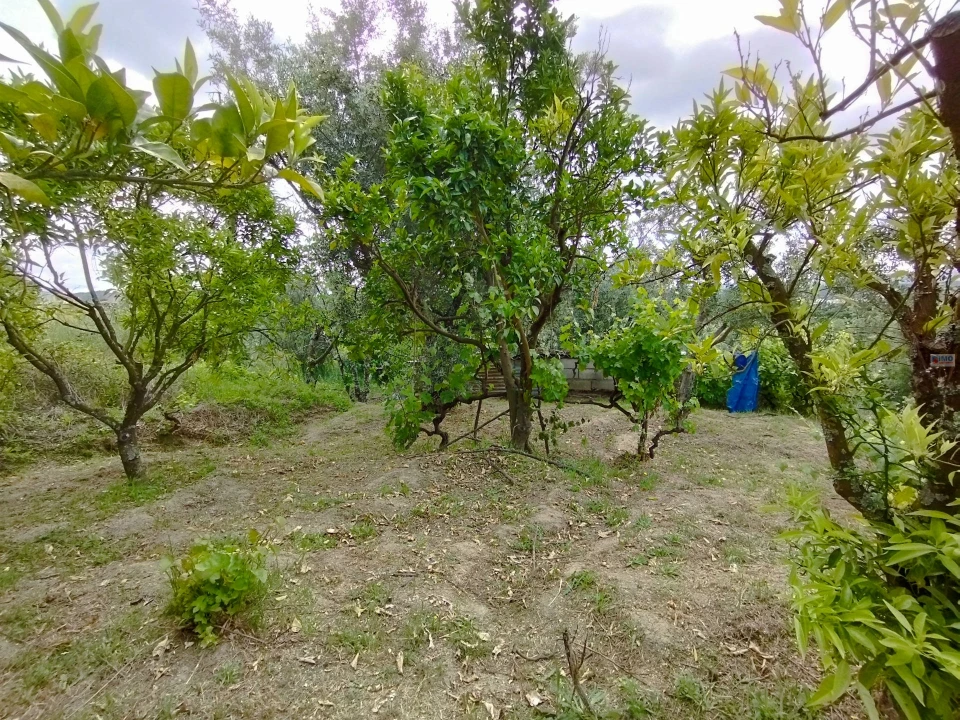 Terreno Agricola ou Rústico para Venda em Orjais Foto 10