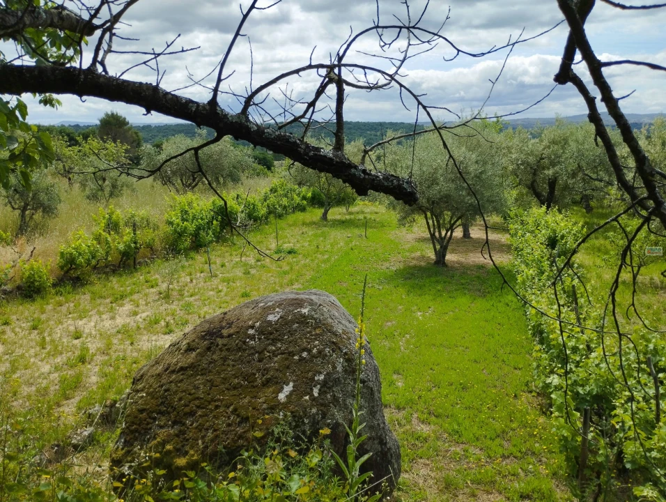 Terreno Agricola ou Rústico para Venda em Orjais Foto 4