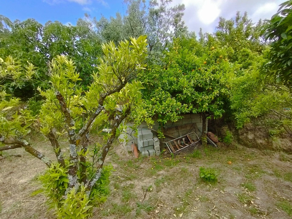 Terreno Agricola ou Rústico para Venda em Orjais Foto 9