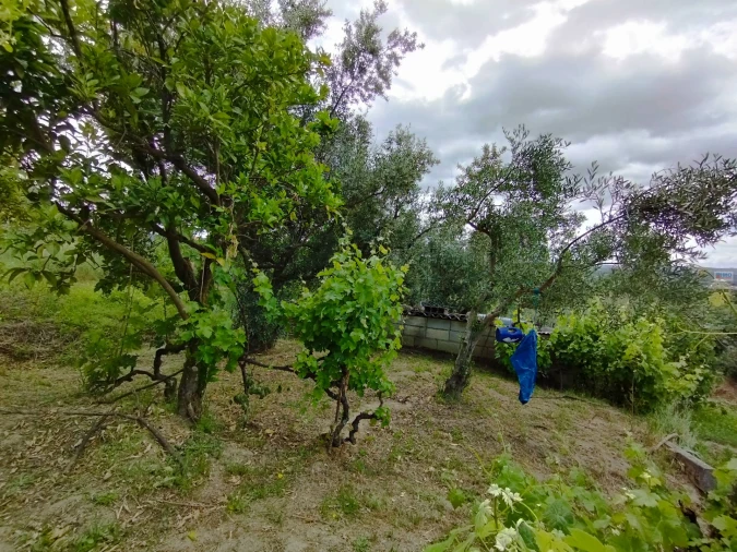 Terreno Agricola ou Rústico para Venda em Orjais Foto 11
