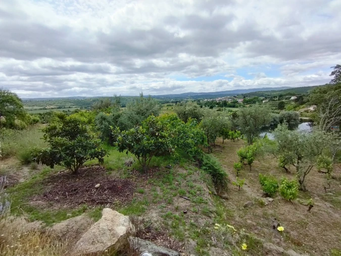 Terreno Agricola ou Rústico para Venda em Orjais Foto 13