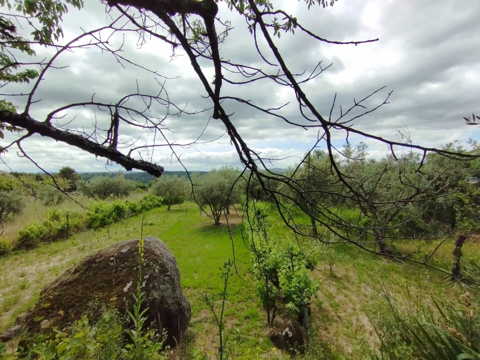 Terreno Agricola ou Rústico para Venda em Orjais Foto 5