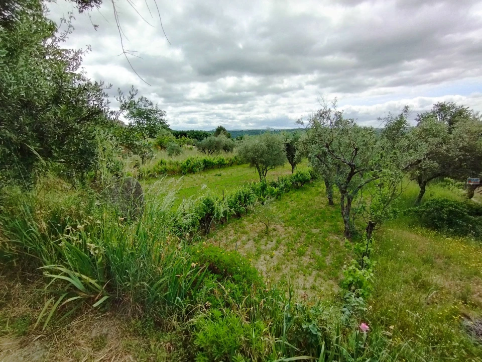 Terreno Agricola ou Rústico para Venda em Orjais Foto 7