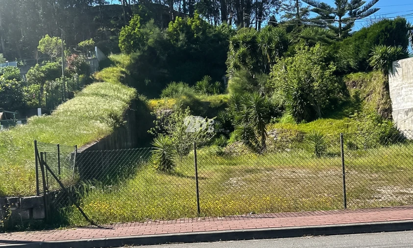Terreno para Venda em Delães Foto 3