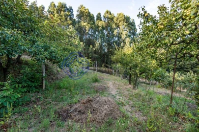 Terreno para Venda em Baguim do Monte (Rio Tinto)