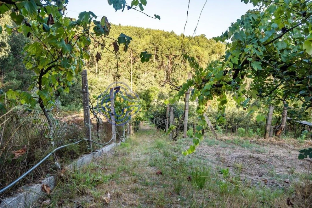 Terreno para Venda em Baguim do Monte (Rio Tinto) Foto 19